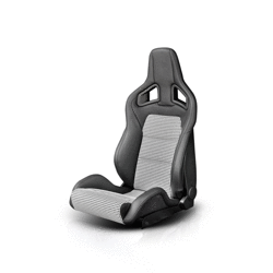 RECARO SPORTSTER CS - Leather Custom - set of 2 seats